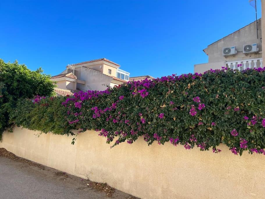 Club Salino 18 Apartment Torrevieja Exterior foto