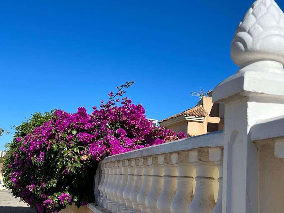 Club Salino 18 Apartment Torrevieja Exterior foto
